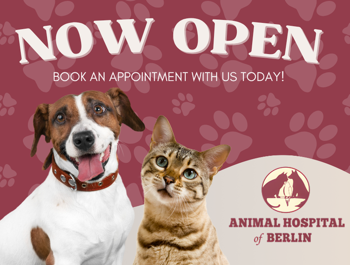 We're Now Open!