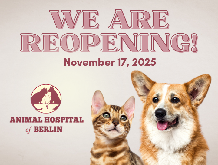 We are Reopening!